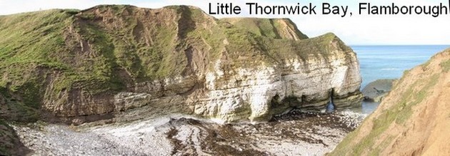 Little Thornwick Bay, Flamborough